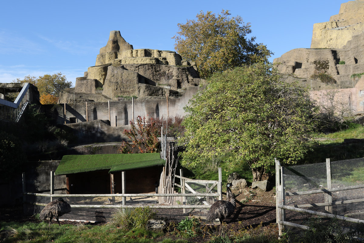 Emu enclosure and derelict Mappin Terraces at ZSL London Zoo 2/11/18