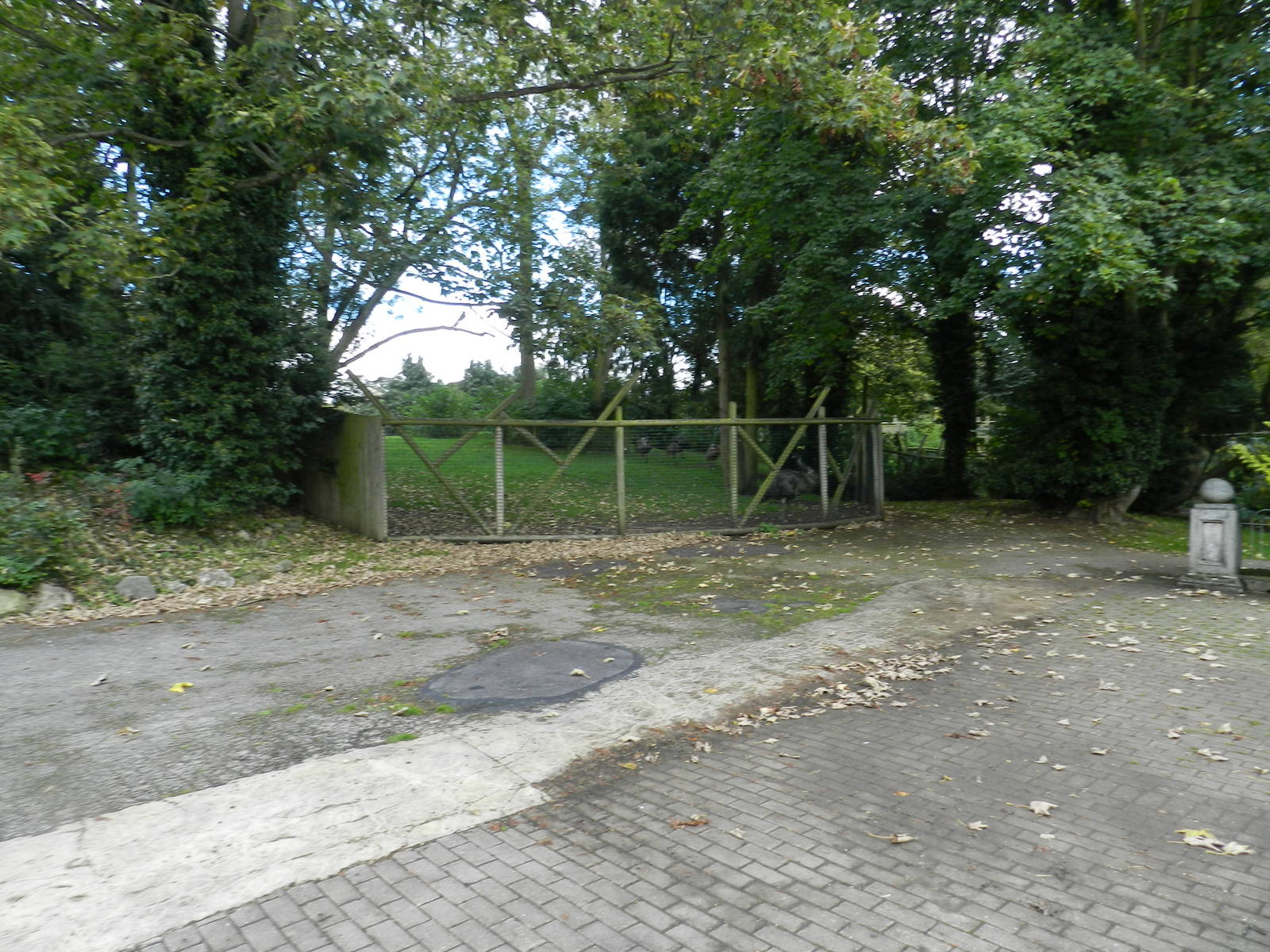 Emu Enclosure at Flamingo Land - 14/10/2012