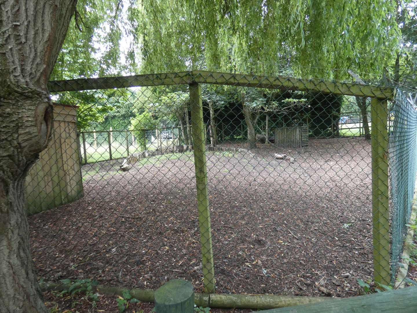 Emu enclosure (Greenacres Animal Park)