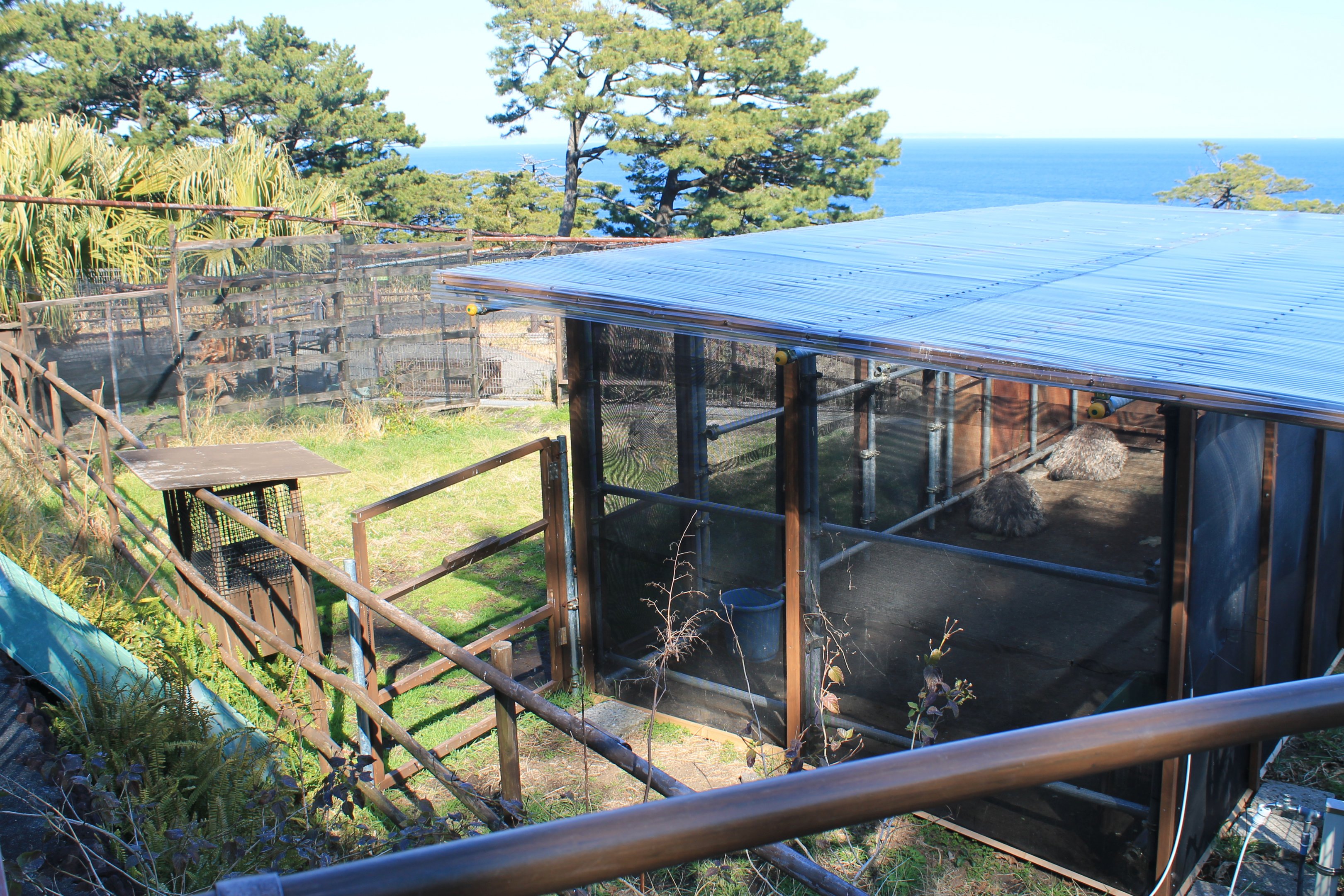 Emu enclosure - Oshima Park Zoo
