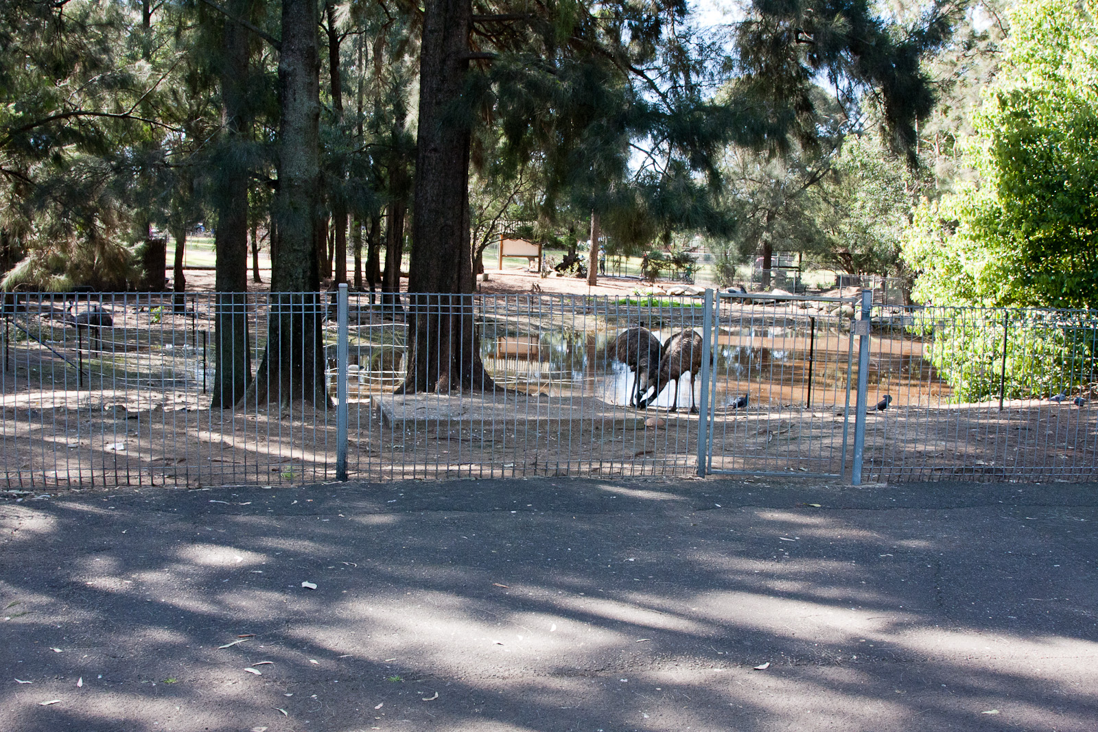 Emu enclosure, Sept 2011