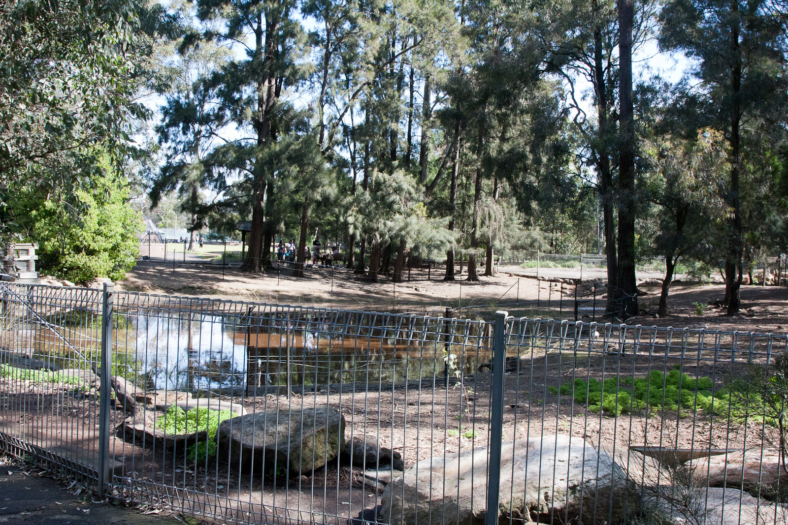 Emu enclosure, Sept 2011