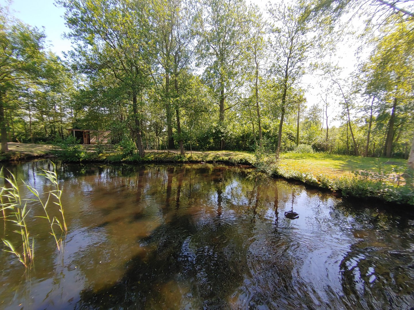 Emu enclosure - view from the bridge