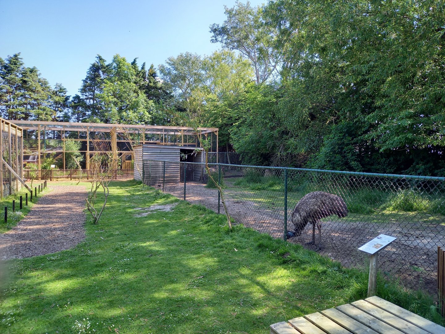 Emu-enclosure with in the background the new Cat-complex