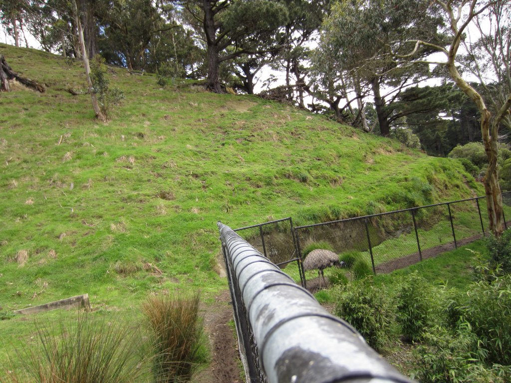 Emu enclosure