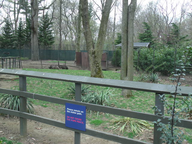 Emu Enclosure