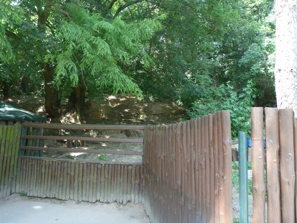 Emu enclosure