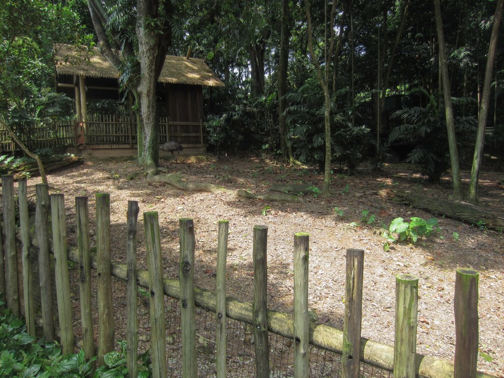 Emu enclosure