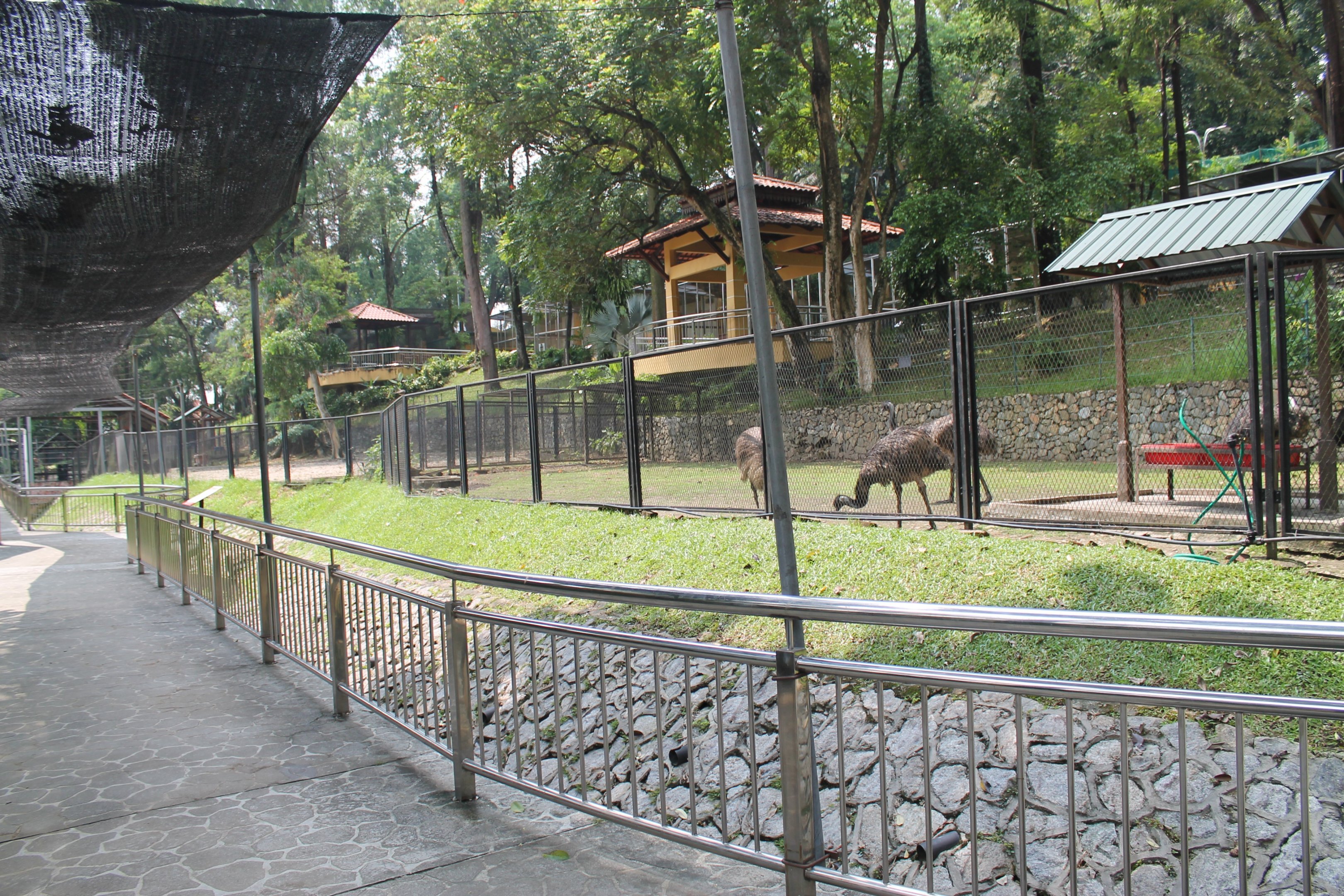 Emu enclosure