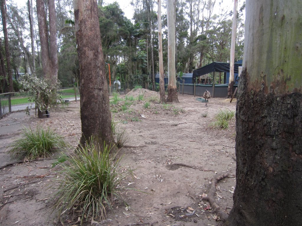 Emu enclosure
