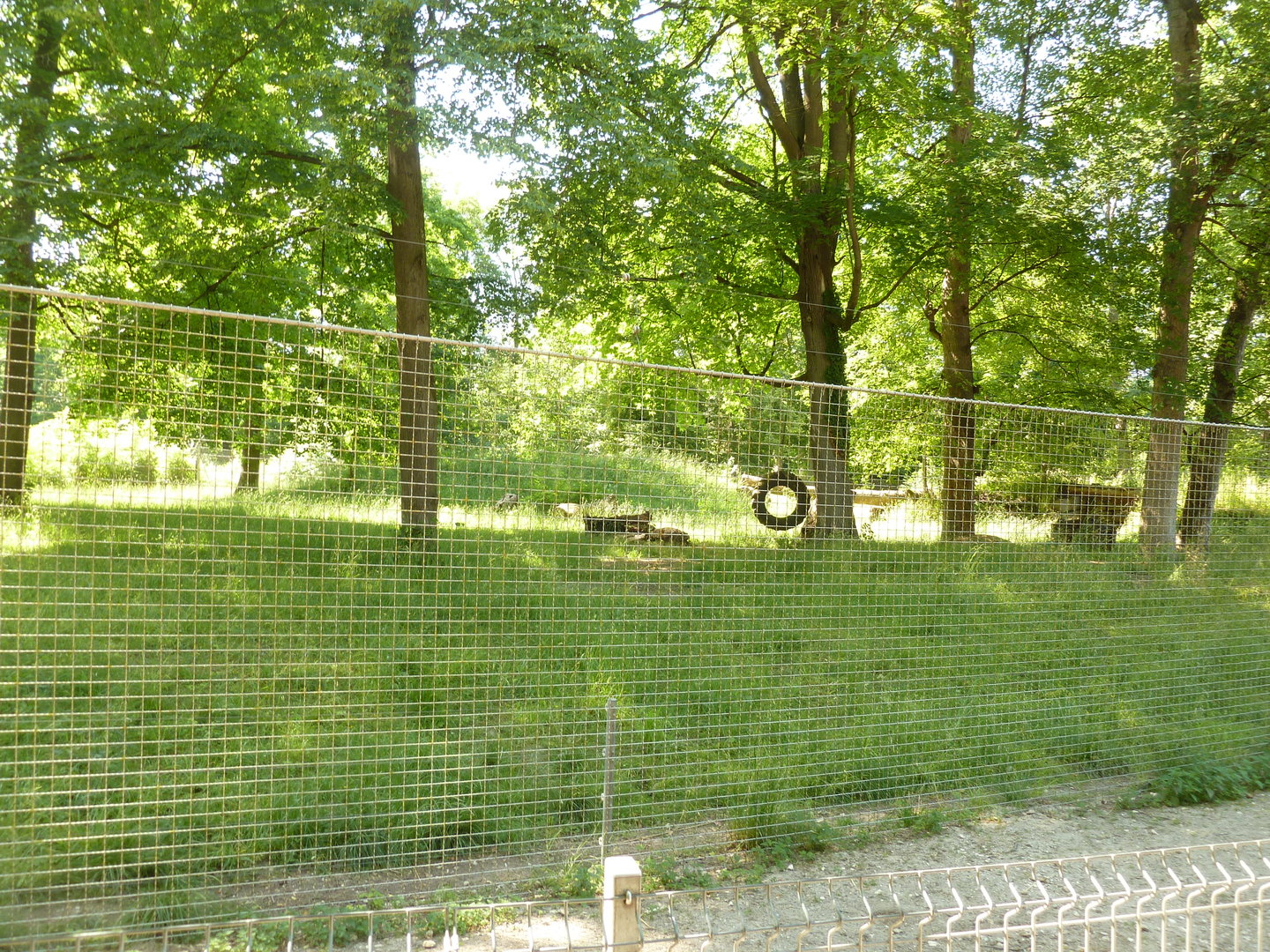 Emu enclosure