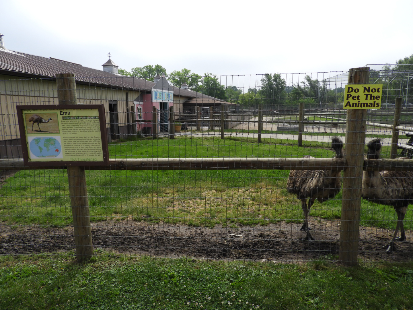 Emu exhibit - Animal Gardens Petting Zoo