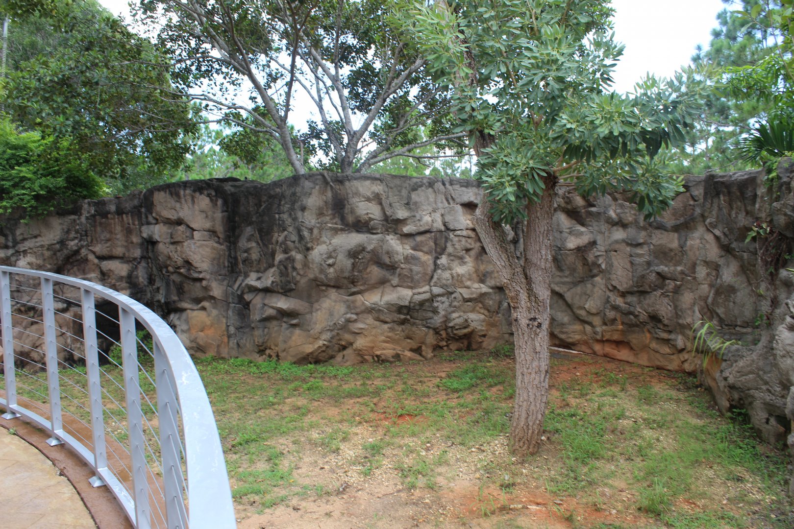 Emu Exhibit - Australian Center