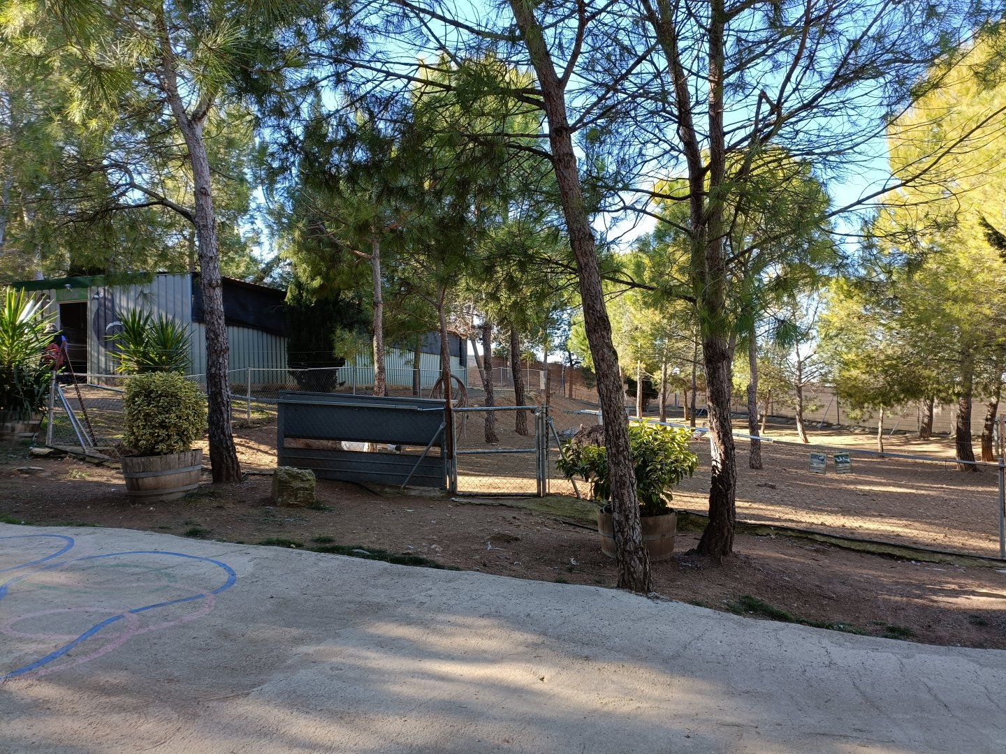 Emu exhibit - Bioparque La Rocha