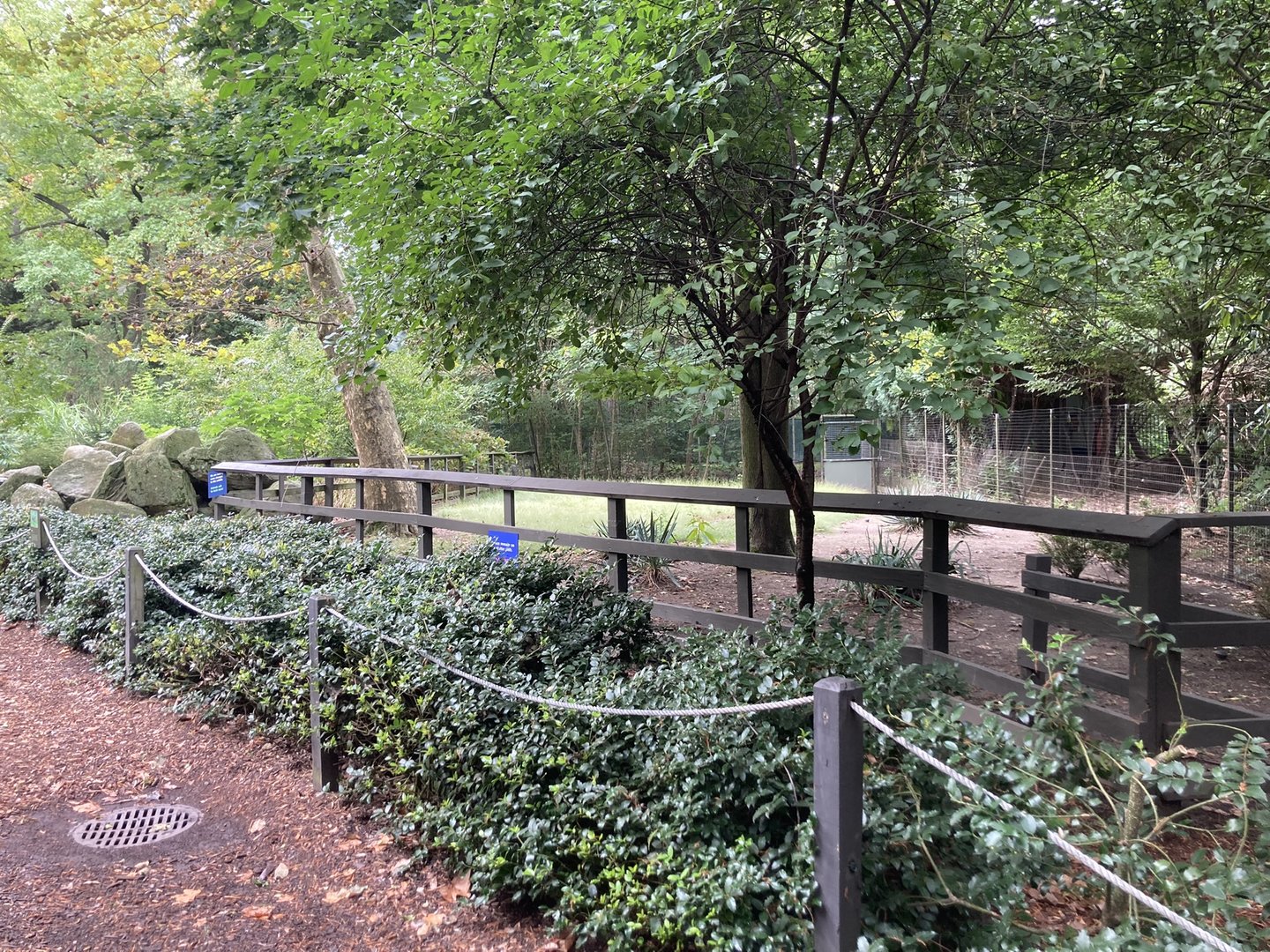 Emu Exhibit (changes coming soon)