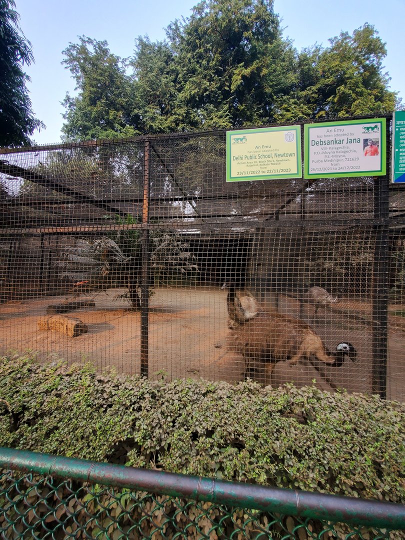 Emu Exhibit  - January 2023