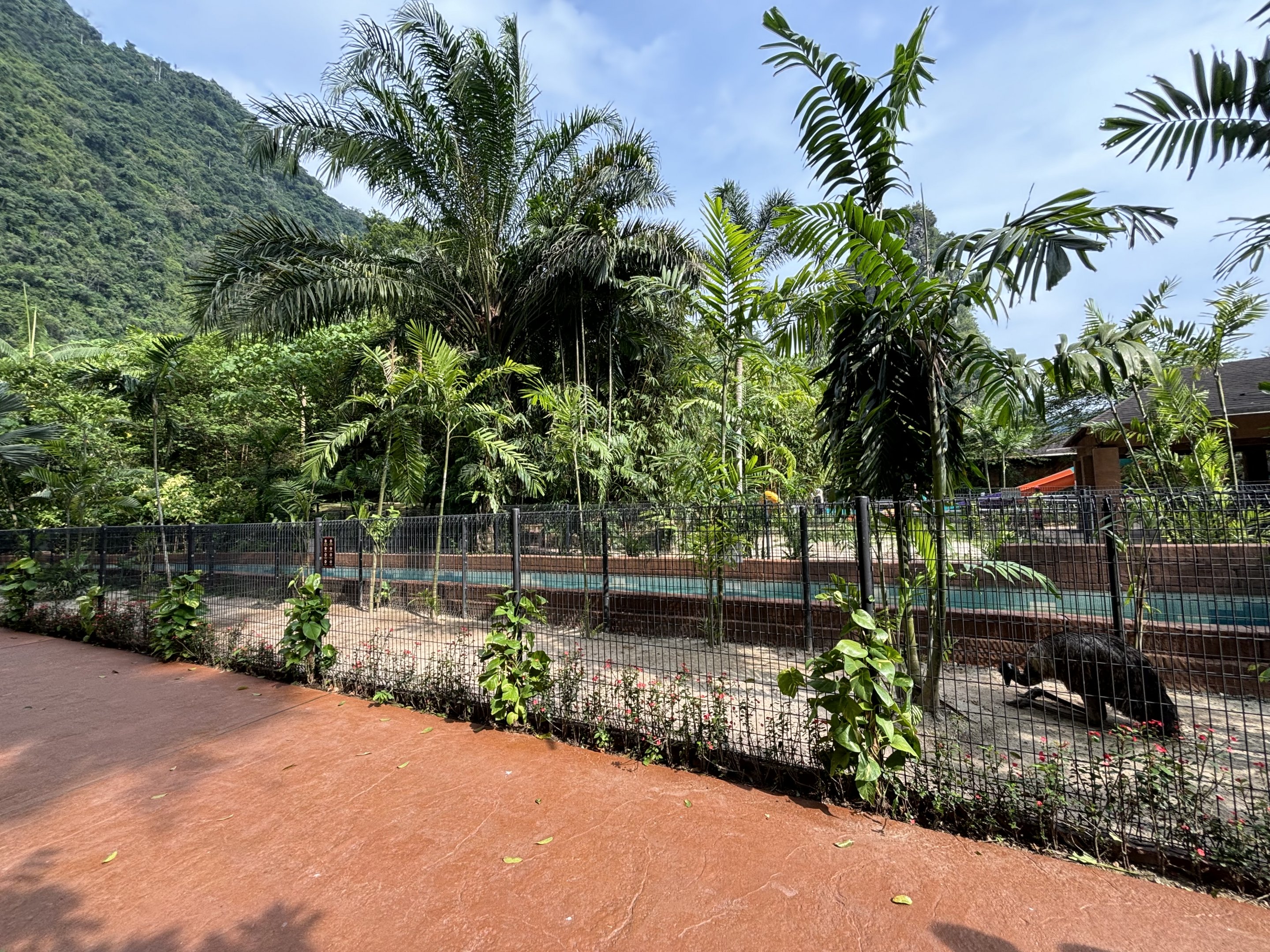 Emu Exhibit - Lost World of Tambun