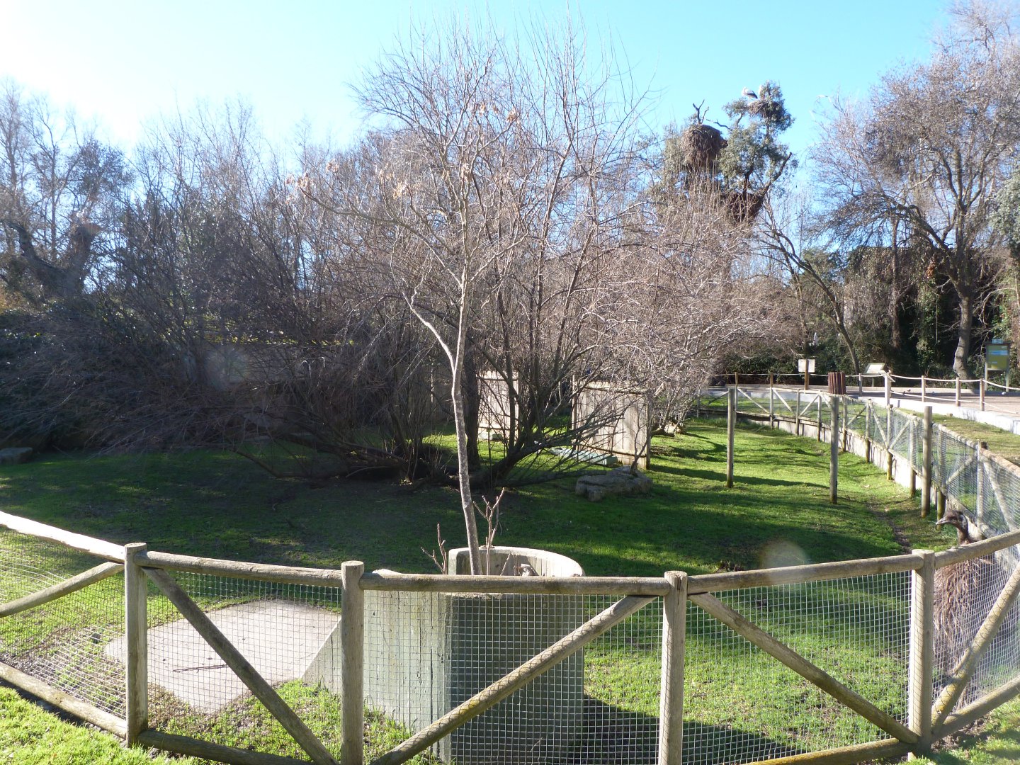 Emu exhibit -Zoo Aquarium de Madrid (2025)