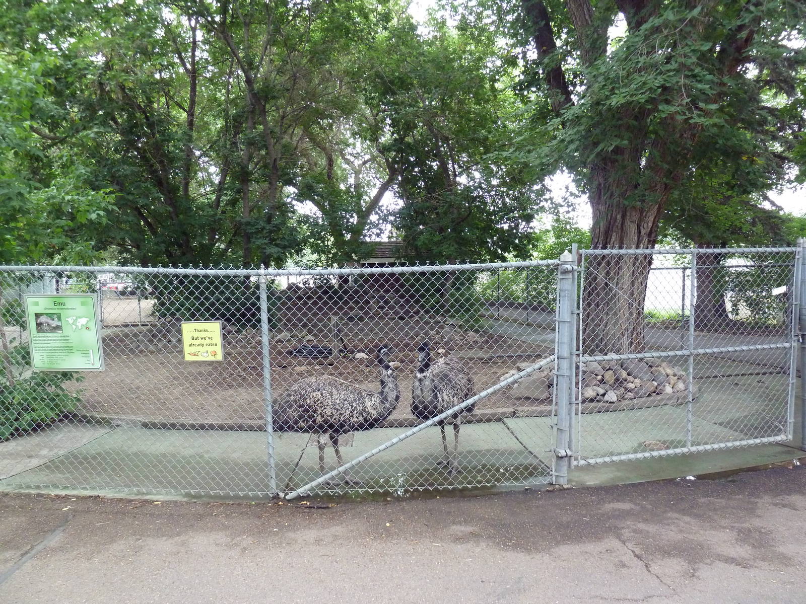 Emu Exhibit
