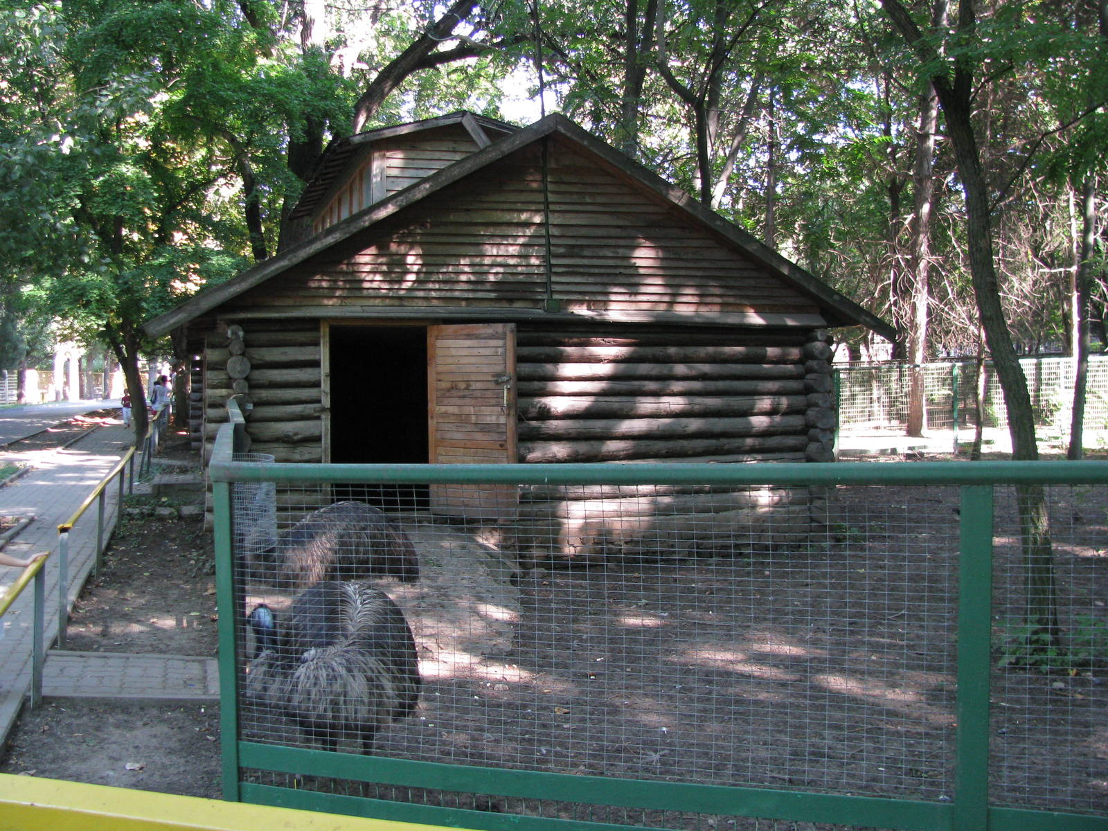 Emu exhibit