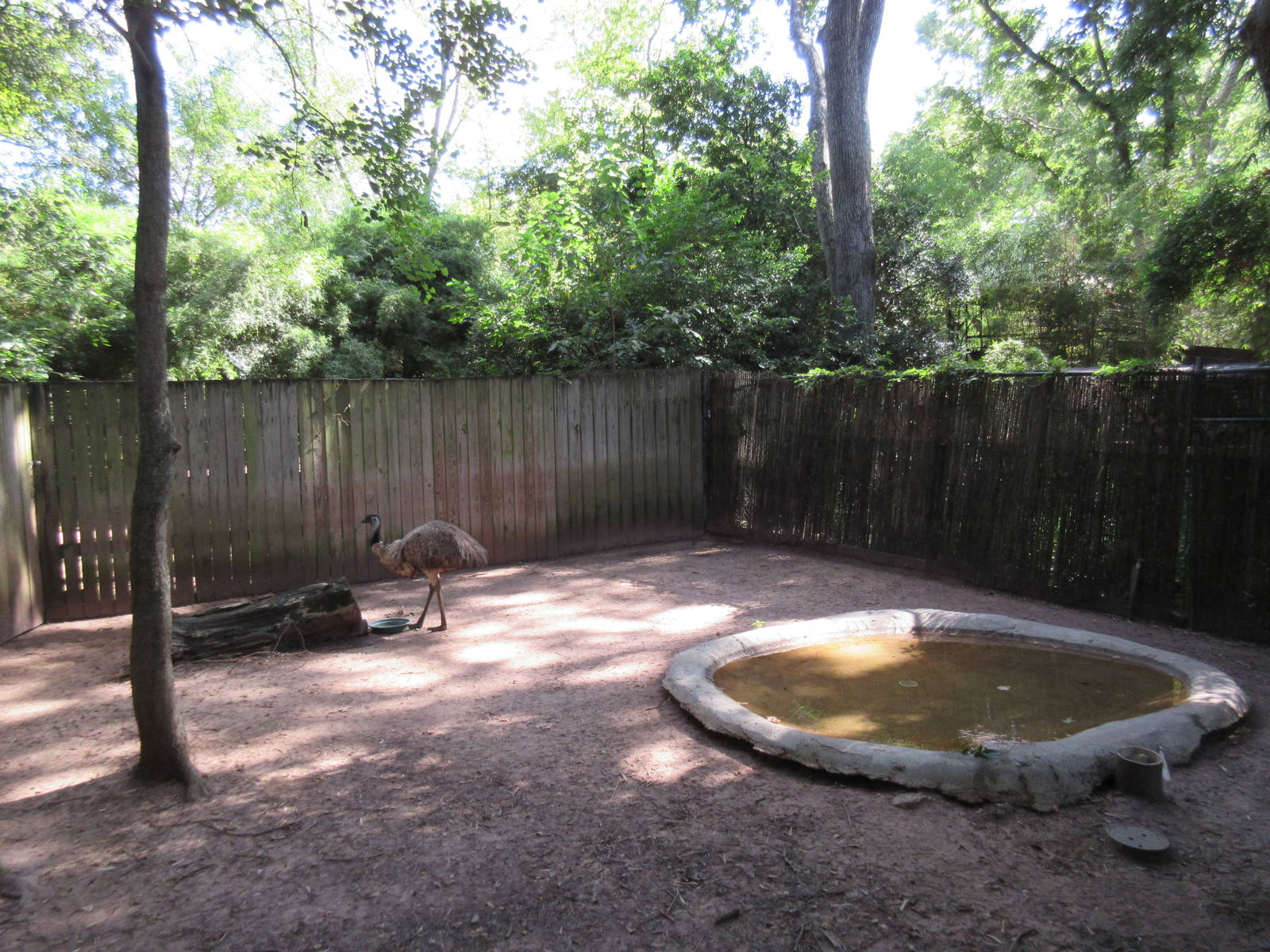 Emu Exhibit