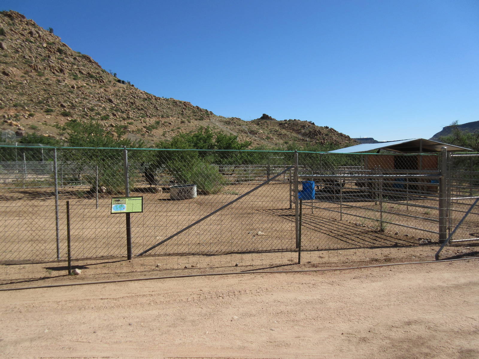 Emu Exhibit