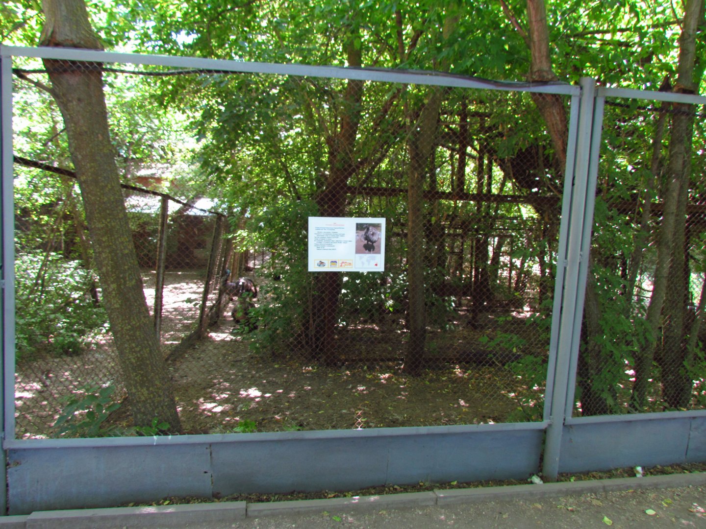 Emu exhibit