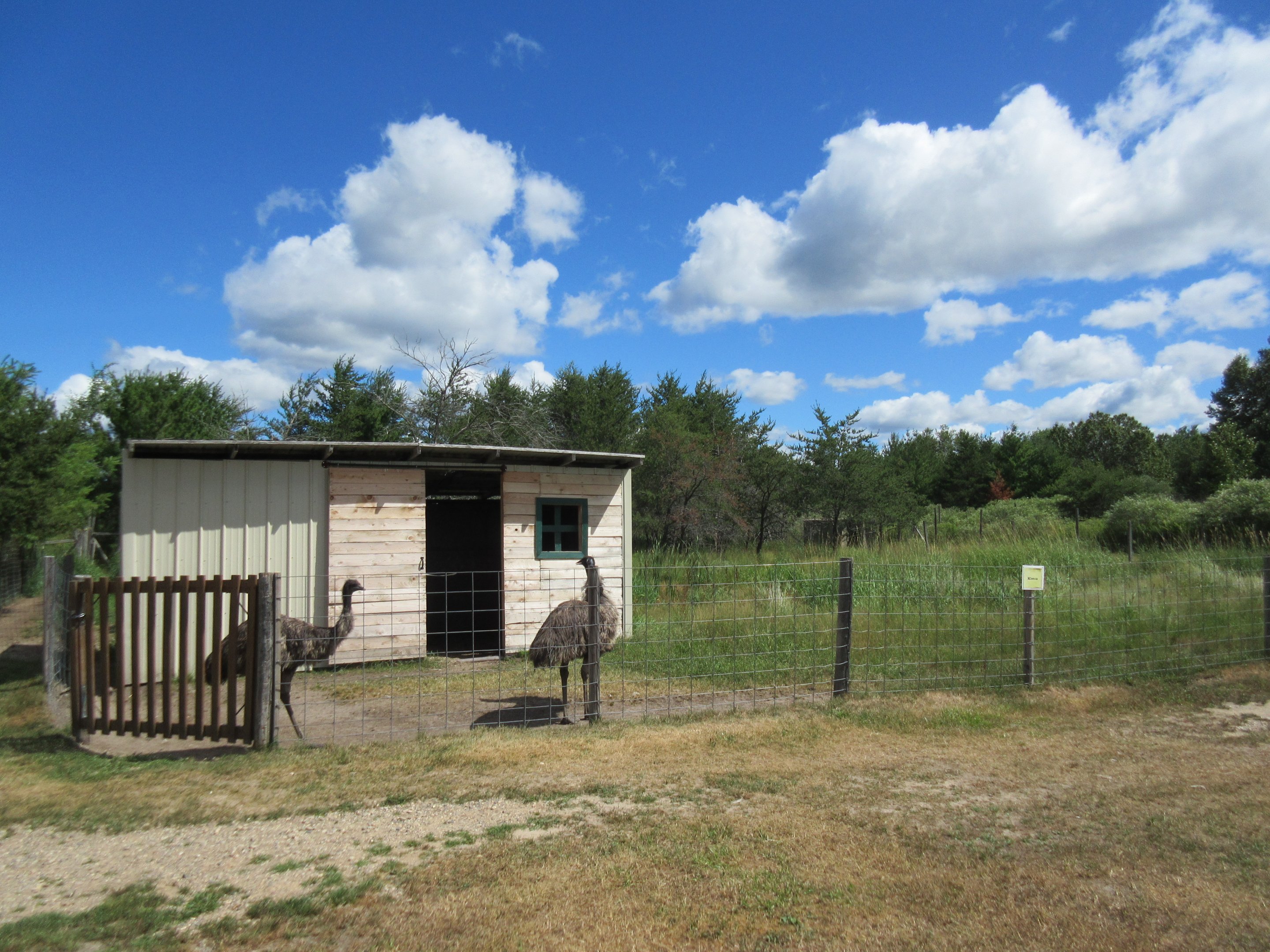 Emu Exhibit
