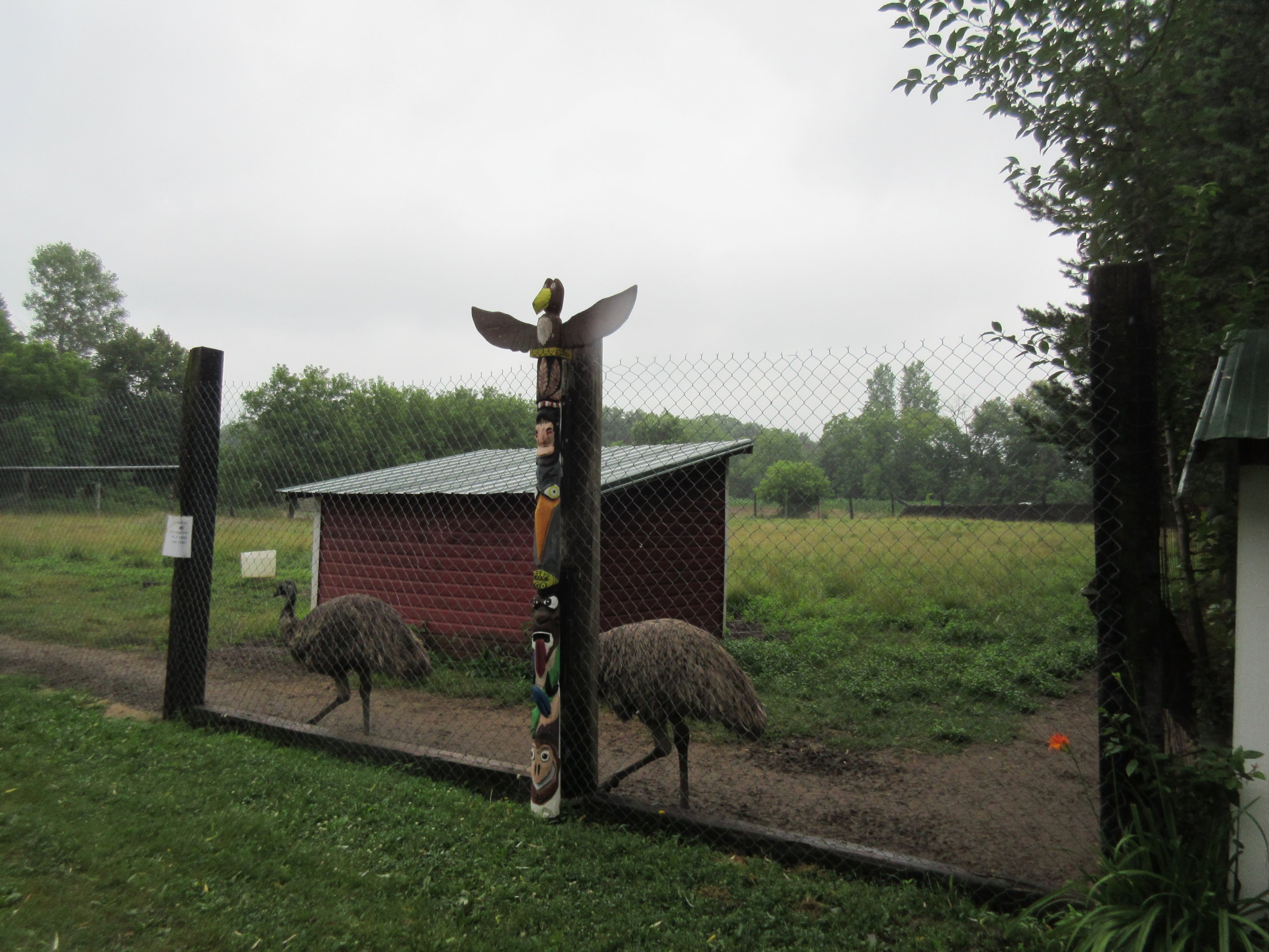 Emu Exhibit