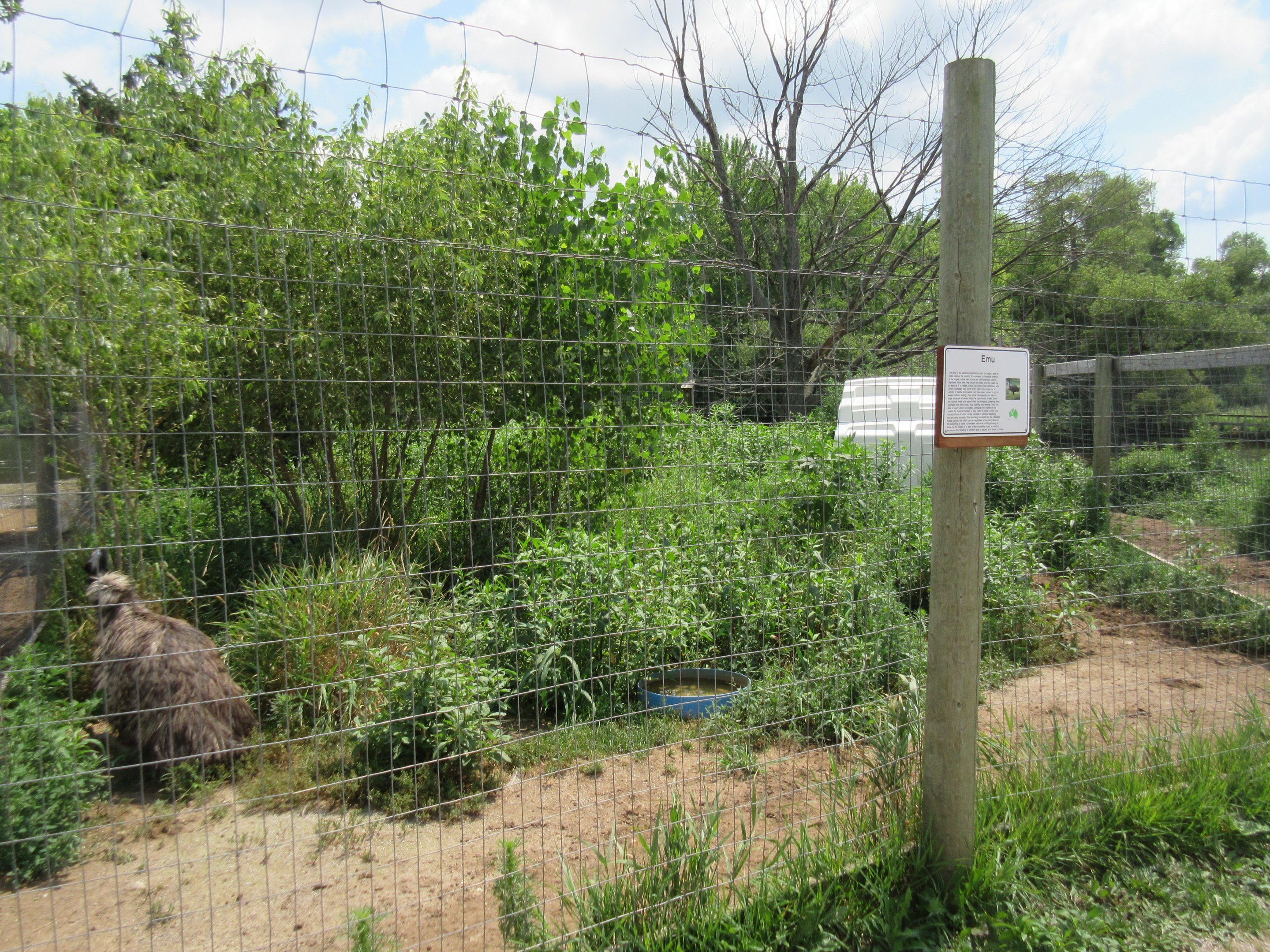 Emu Exhibit