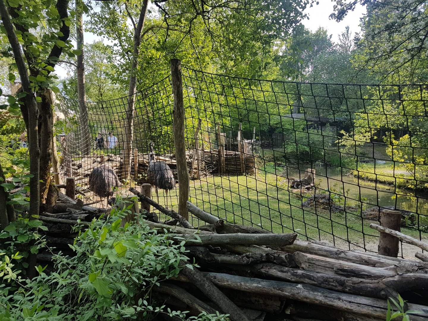 Emu Exhibit
