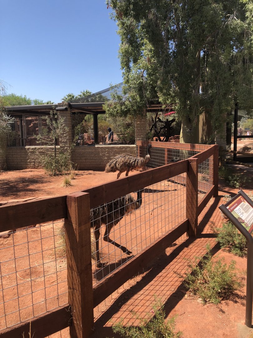 Emu Exhibit