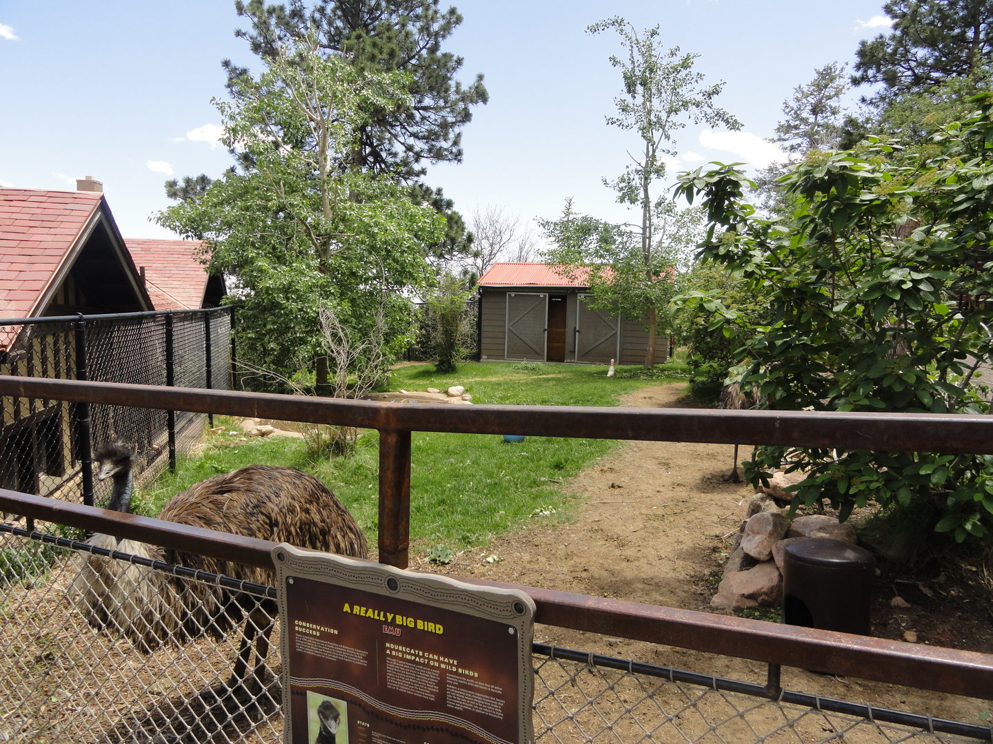 Emu Exhibit