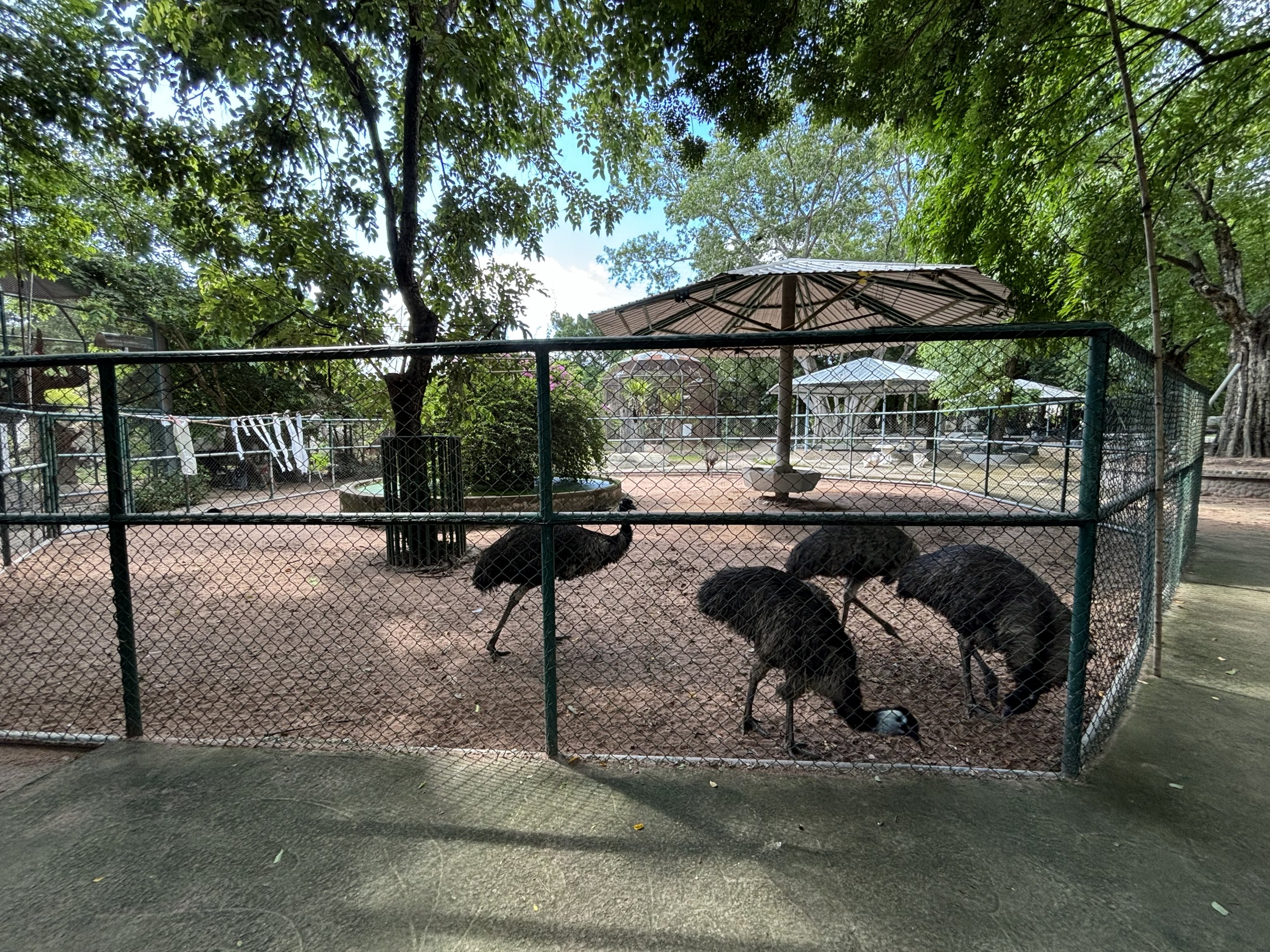 Emu Exhibit