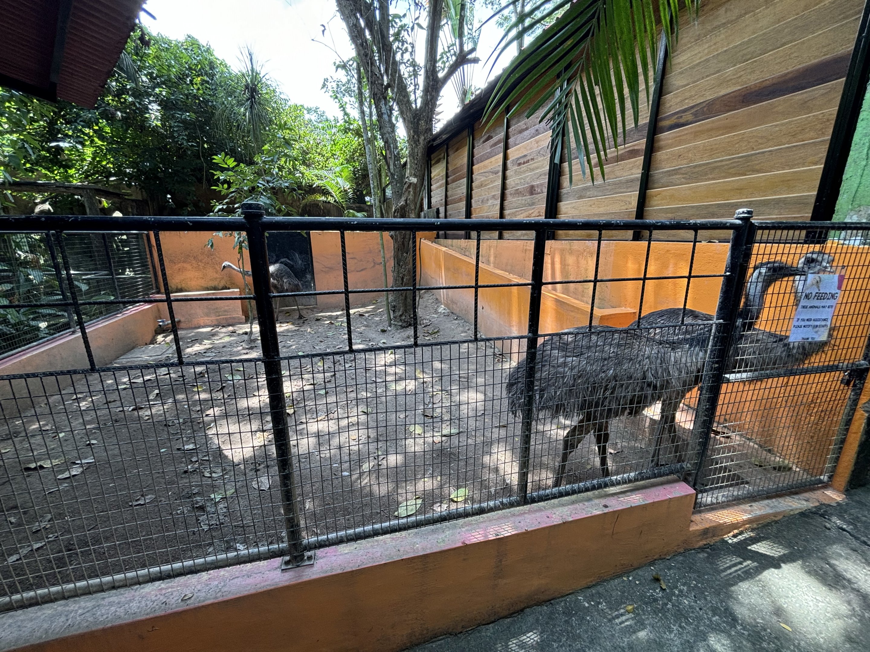 Emu Exhibit