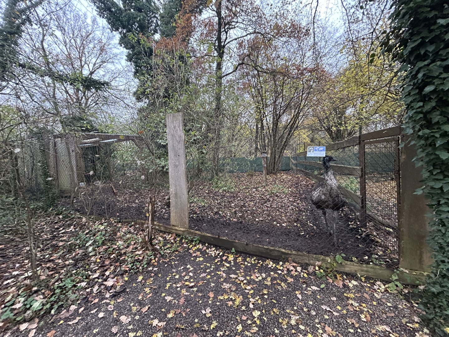 Emu Exhibit