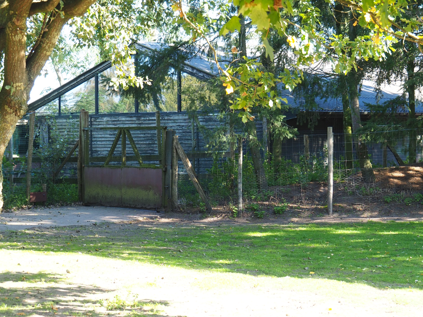Emu, Kangaroo and Wallaby barn, 2022-10-09