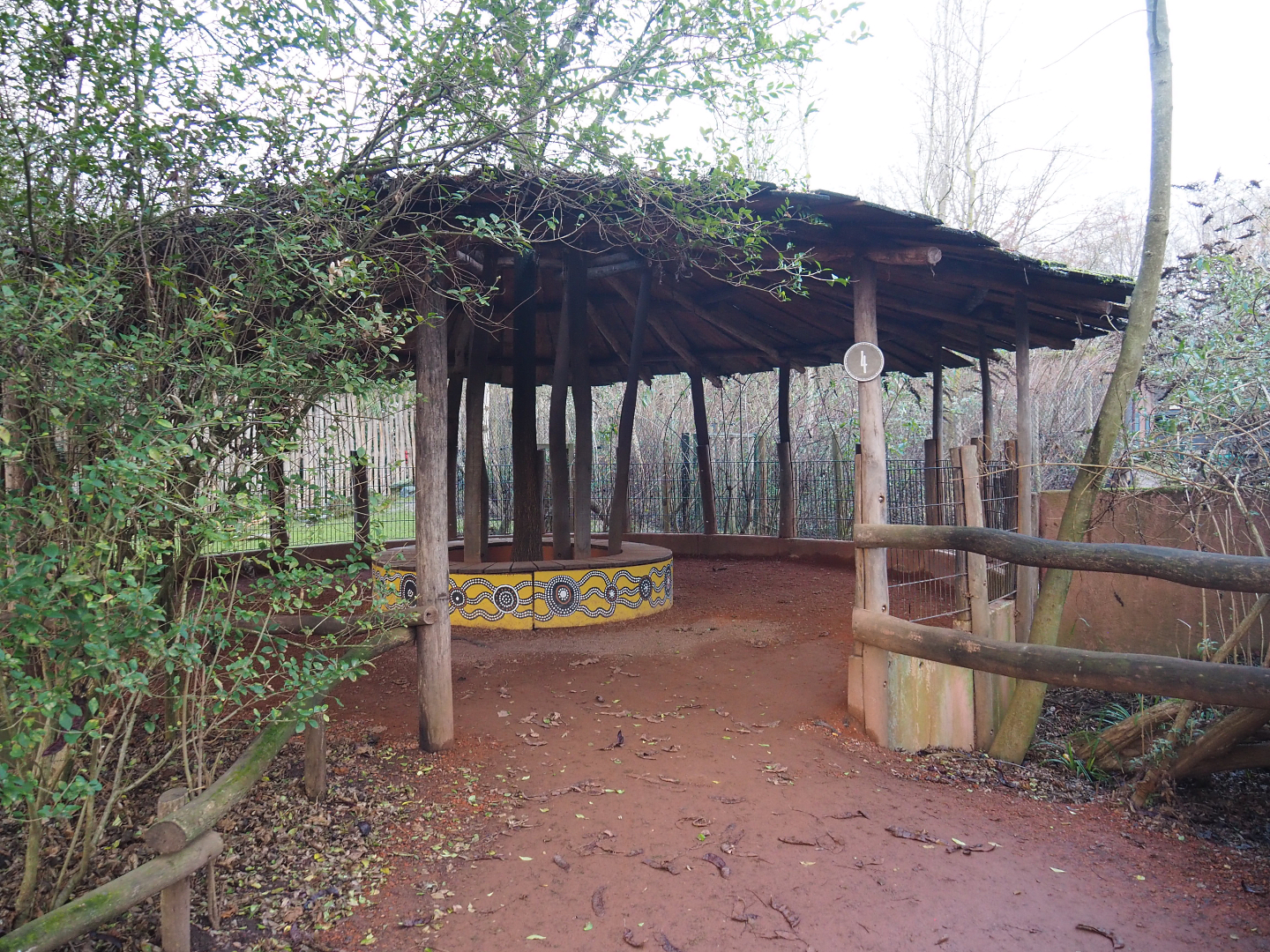 Emu, Kangaroo and Wallaby viewing area, 2022-01-02