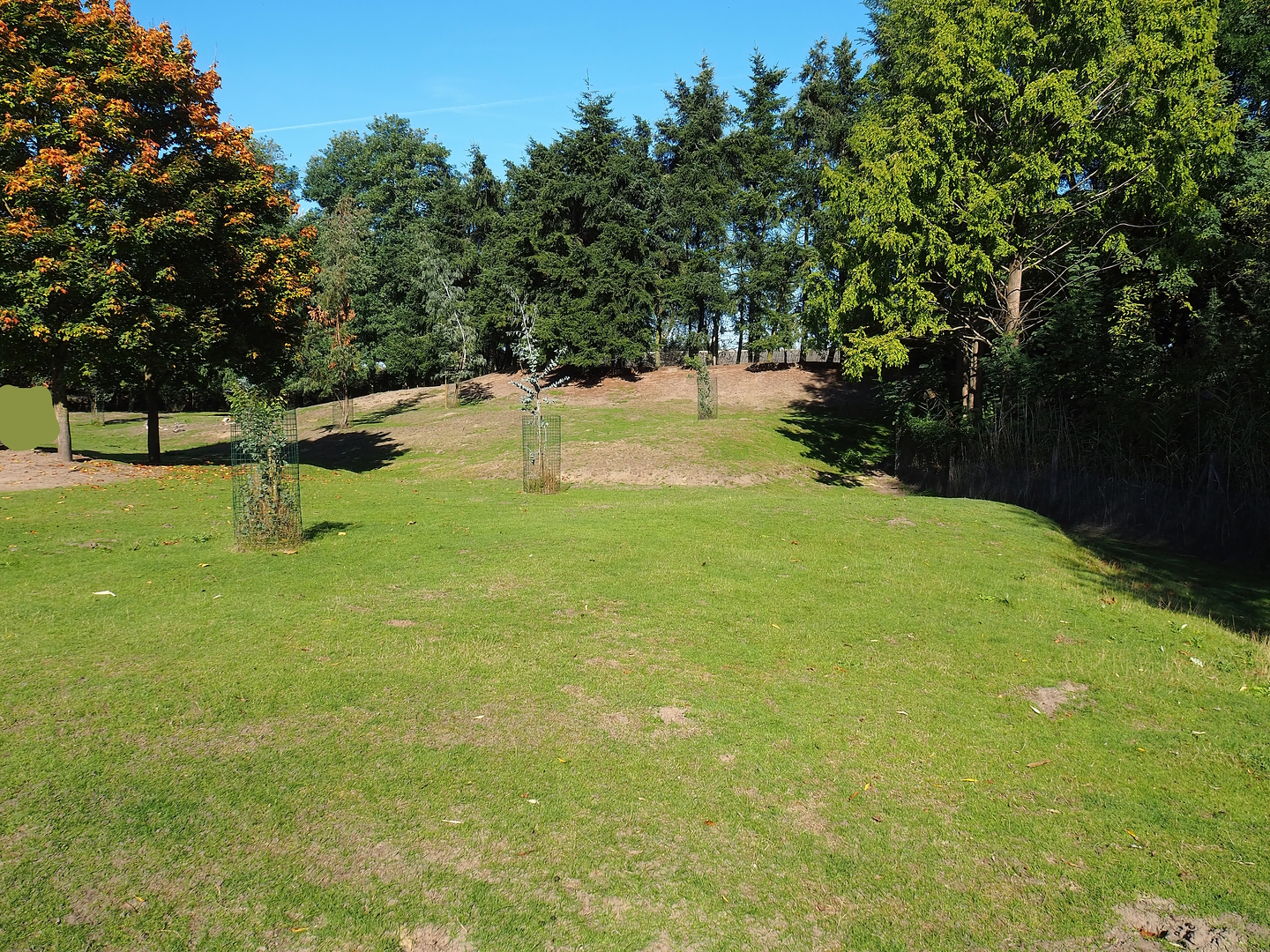 Emu, Kangaroo and Wallaby walk-through, 2022-10-09