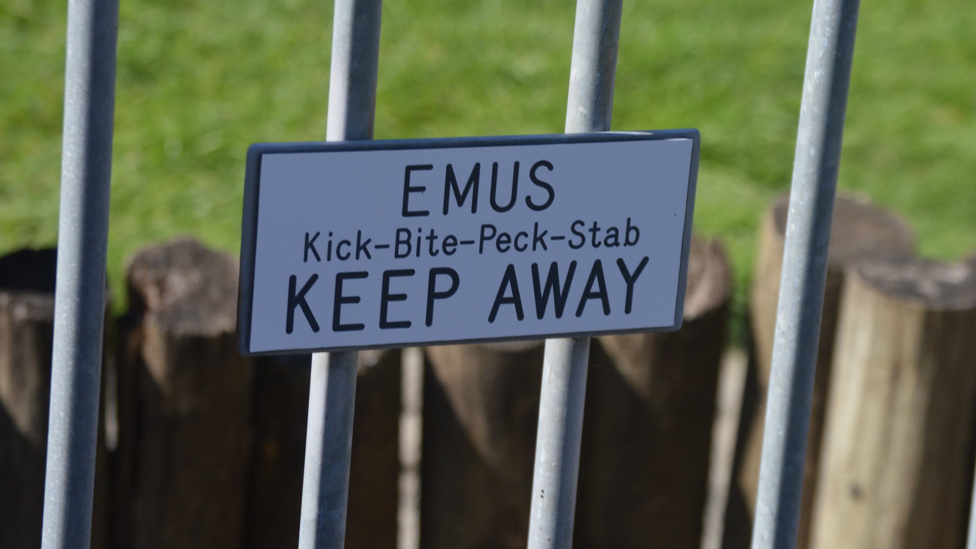 Emu Moveset (Warning)