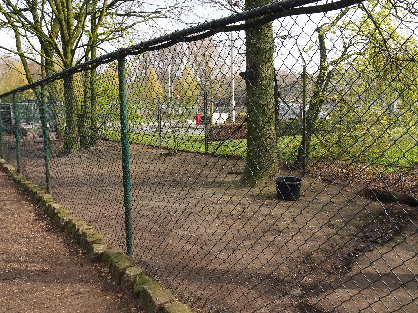 Emu paddock, 2019-04-06