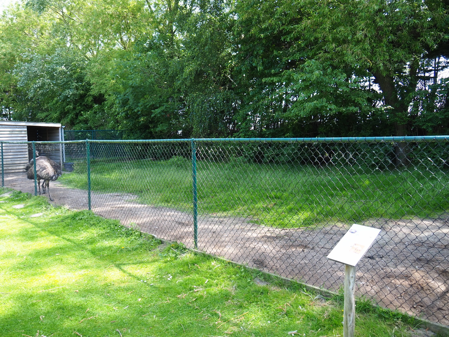 Emu paddock, 2019-06-01