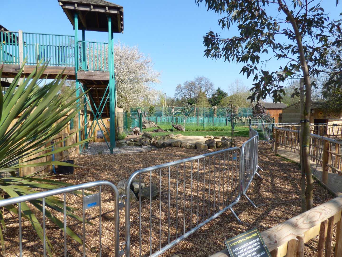 Emu Paddock in 'Outback Trail'