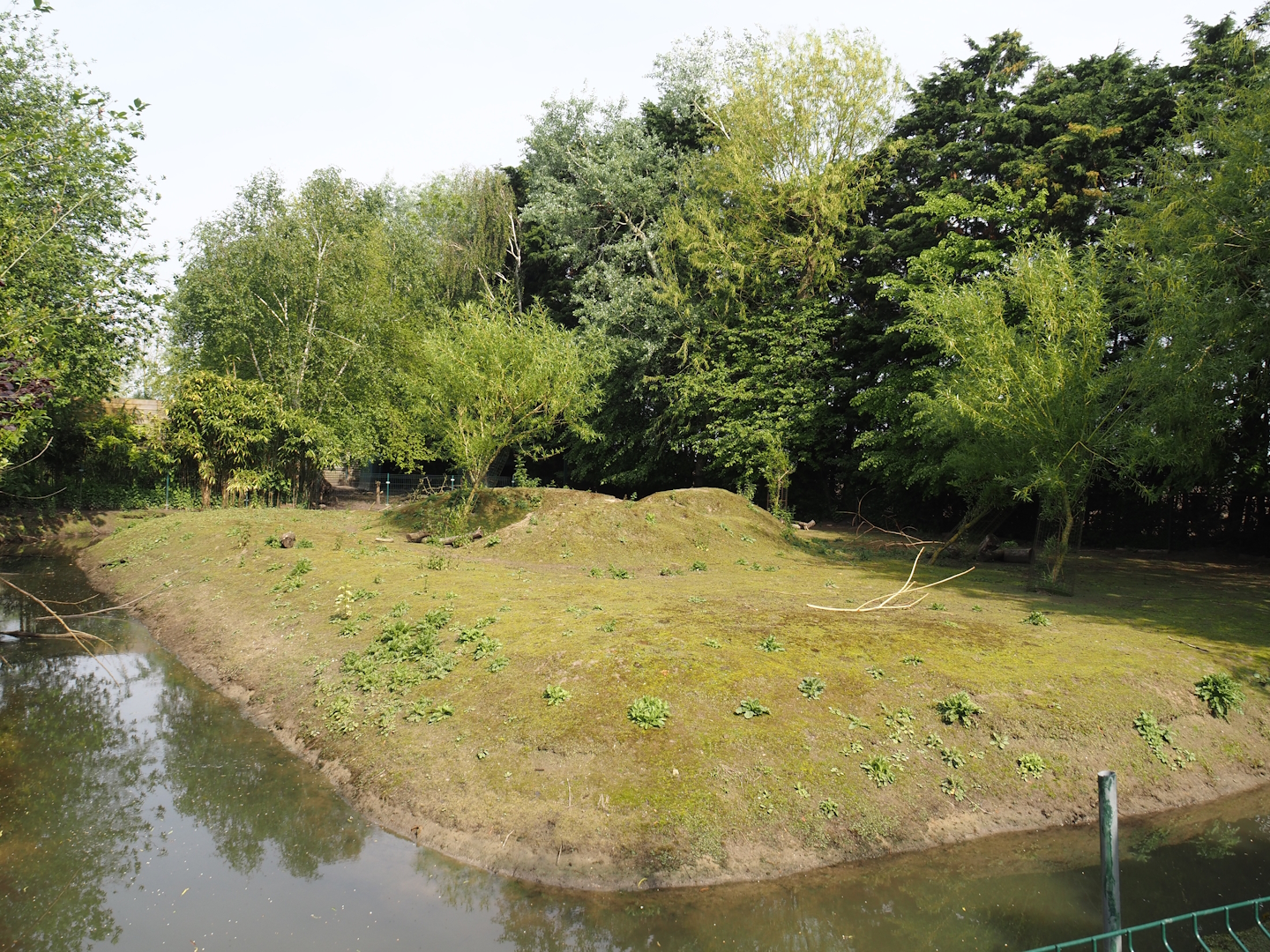 Emu, Parma wallaby and Red-necked wallaby exhibit, 2024-05-11