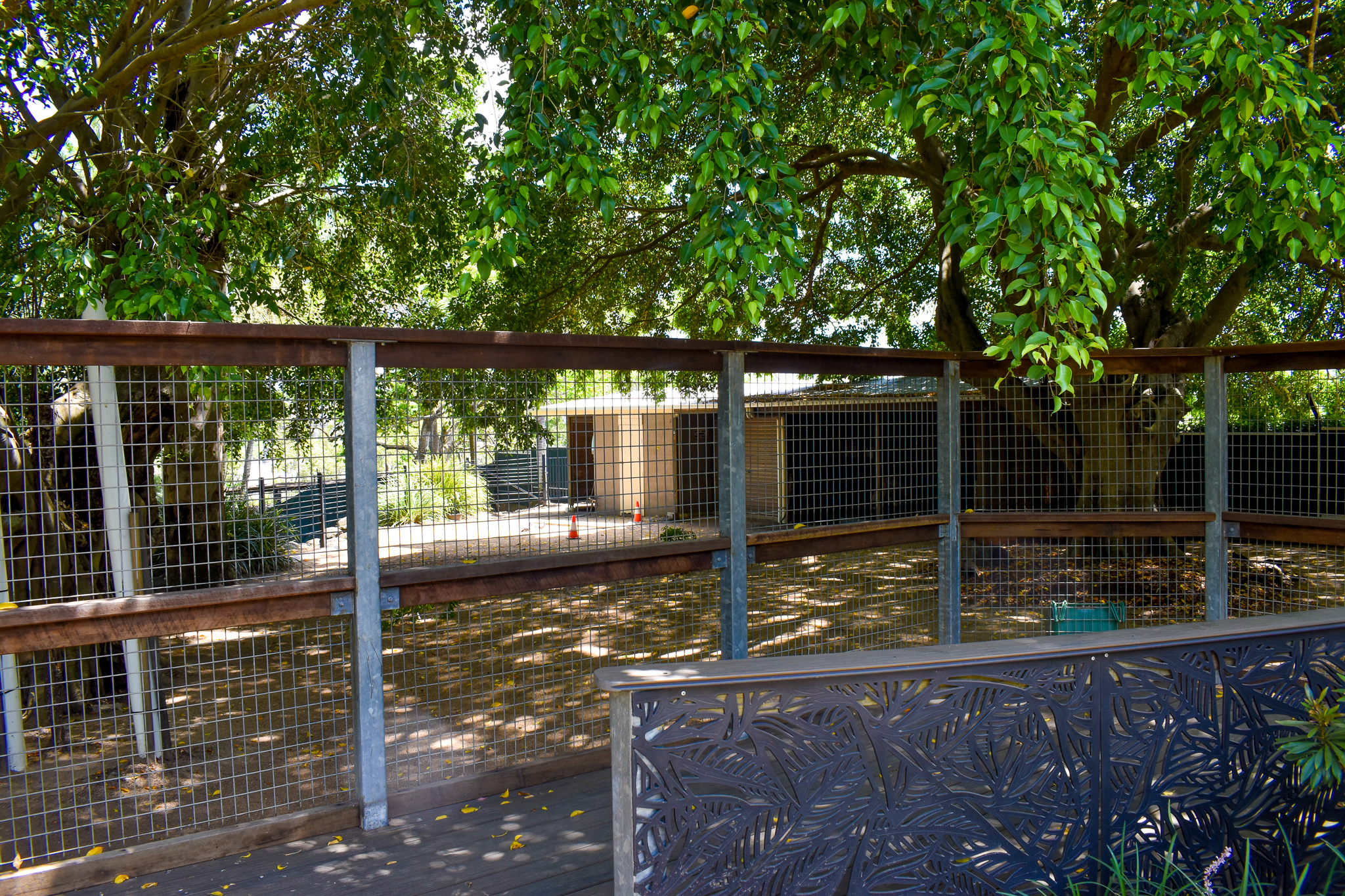 Emu/Parma Wallaby/Swamp Wallaby Enclosure