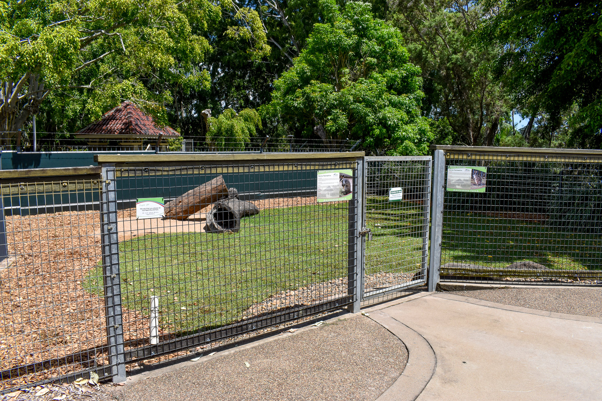 Emu/Parma Wallaby/Swamp Wallaby Enclosure