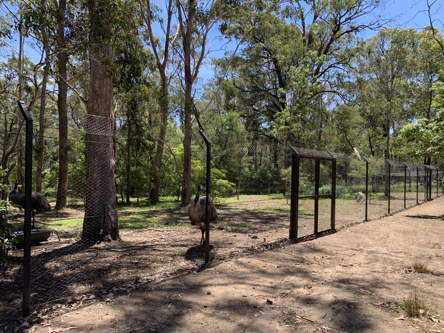 Emu Pen (Potoroo Palace)