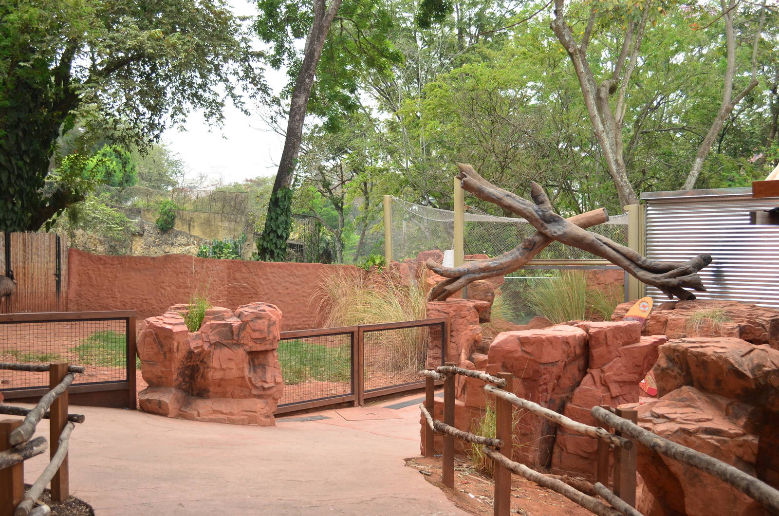 Emu & Perentie exhibit