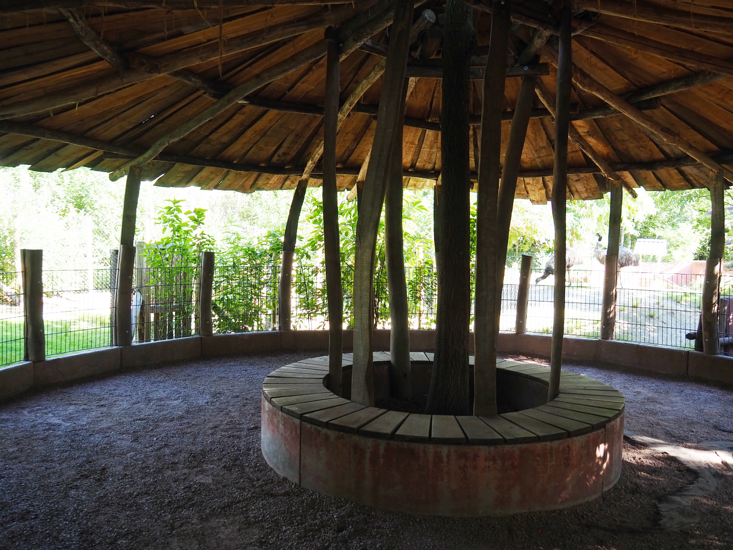 Emu, Red kangaroo and Swamp wallaby viewing area, 2020-07-21