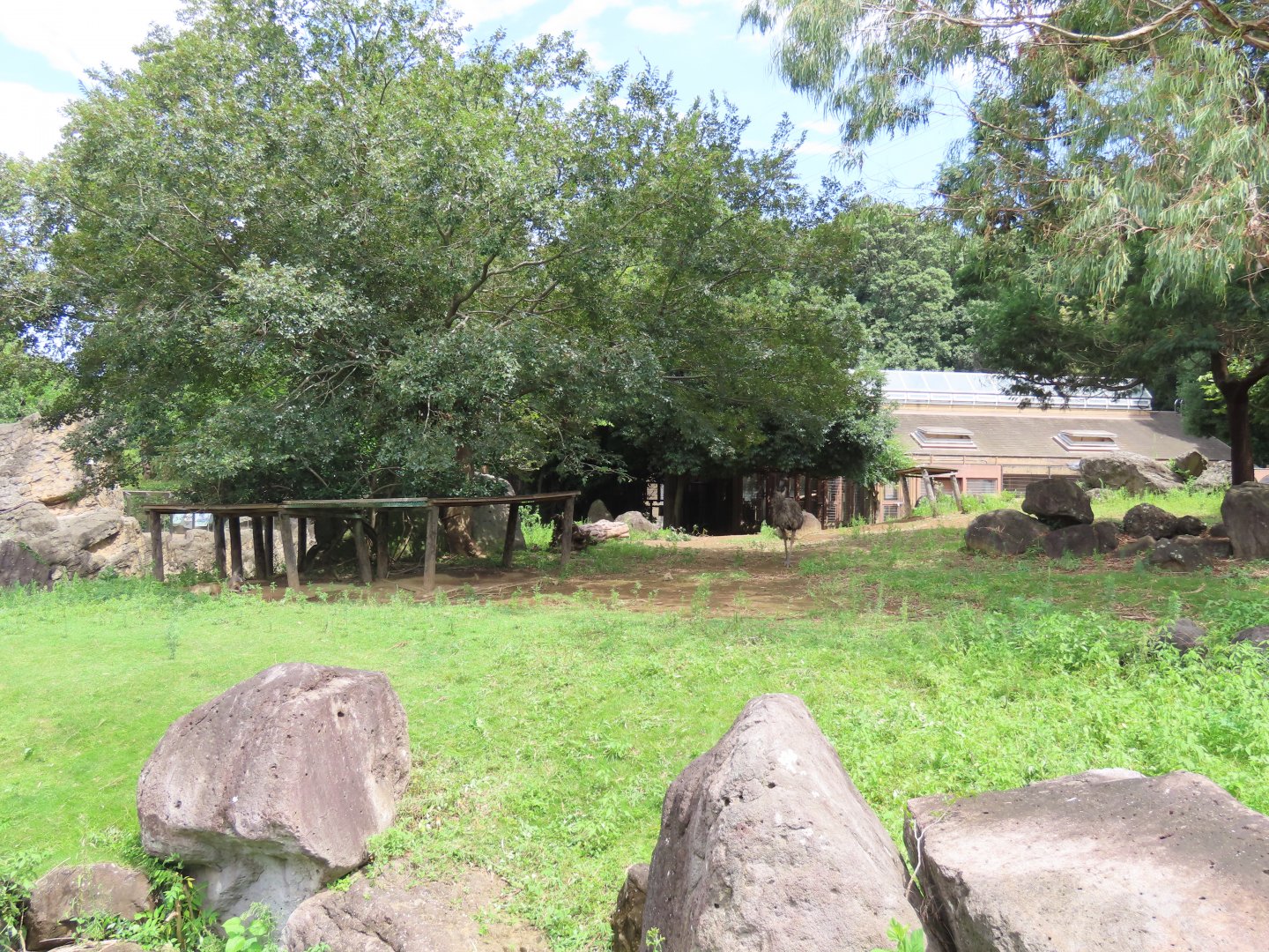 Emu/red kangaroo exhibit